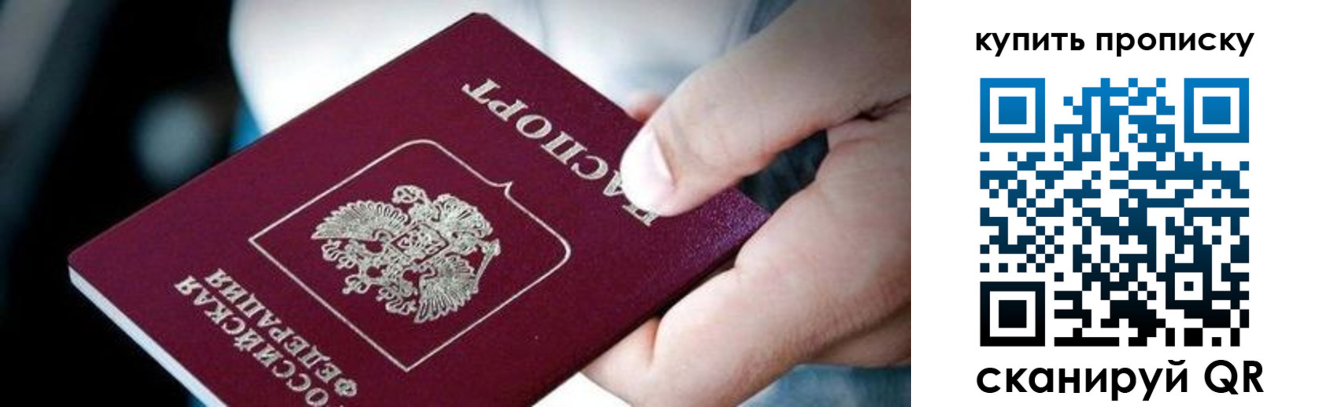 прописка поиск в Чистополье